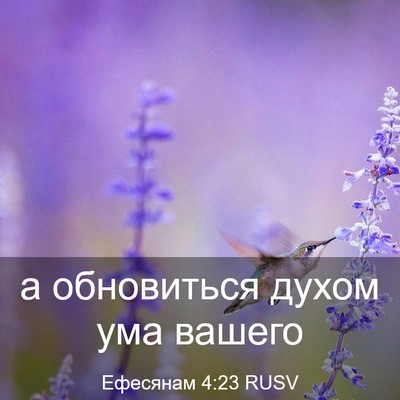 Picture 03 - Ефесянам 4:23 RUSV - а обновиться духом ума - Bible Verse Picture