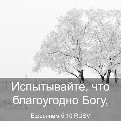 Picture 03 - Ефесянам 5:10 RUSV - Испытывайте, что - Bible Verse Picture