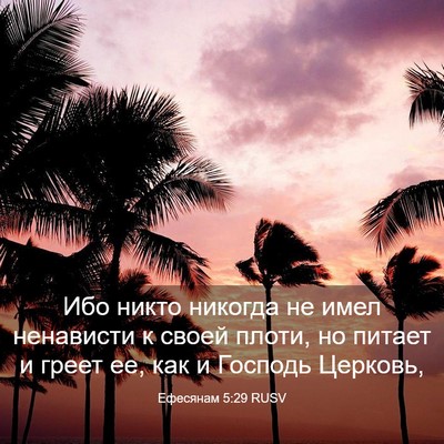 Picture 03 - Ефесянам 5:29 RUSV - Ибо никто никогда не имел - Bible Verse Picture