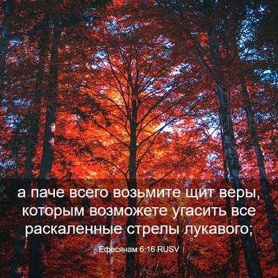 Picture 03 - Ефесянам 6:16 RUSV - а паче всего возьмите щит - Bible Verse Picture