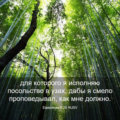 Picture 03 - Ефесянам 6:20 RUSV - для которого я исполняю - Bible Verse Picture