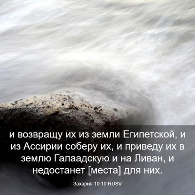 Picture 03 - Захария 10:10 RUSV - и возвращу их из земли - Bible Verse Picture