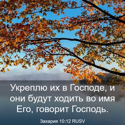 Picture 03 - Захария 10:12 RUSV - Укреплю их в Господе, и они - Bible Verse Picture