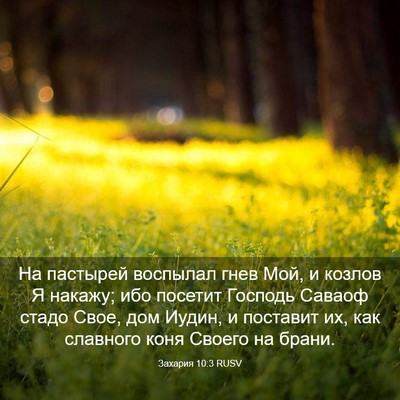 Picture 03 - Захария 10:3 RUSV - На пастырей воспылал гнев - Bible Verse Picture