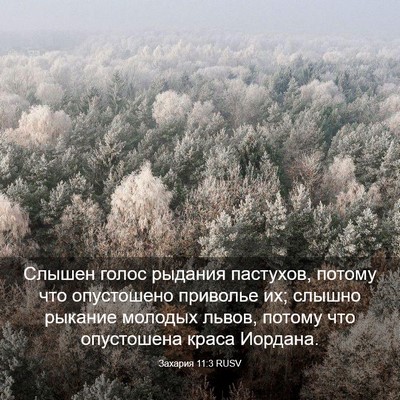 Picture 03 - Захария 11:3 RUSV - Слышен голос рыдания - Bible Verse Picture