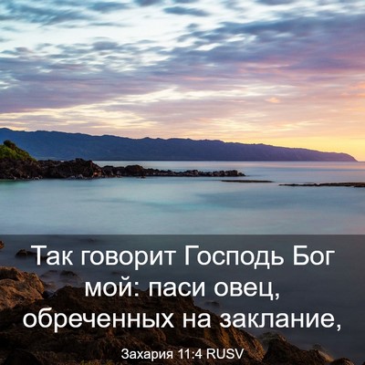 Picture 03 - Захария 11:4 RUSV - Так говорит Господь Бог - Bible Verse Picture