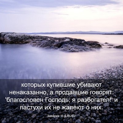 Picture 03 - Захария 11:5 RUSV - которых купившие убивают - Bible Verse Picture