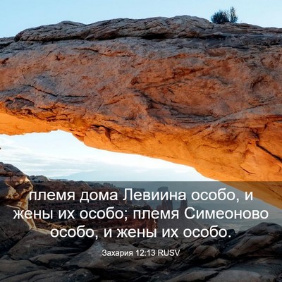 Picture 03 - Захария 12:13 RUSV - племя дома Левиина особо, и - Bible Verse Picture
