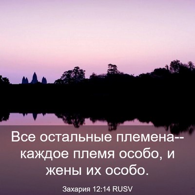 Picture 03 - Захария 12:14 RUSV - Все остальные - Bible Verse Picture