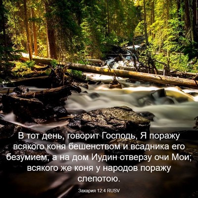 Picture 03 - Захария 12:4 RUSV - В тот день, говорит - Bible Verse Picture