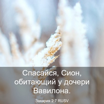 Picture 03 - Захария 2:7 RUSV - Спасайся, Сион, обитающий у - Bible Verse Picture