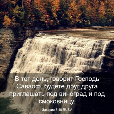 Picture 03 - Захария 3:10 RUSV - В тот день, говорит Господь - Bible Verse Picture