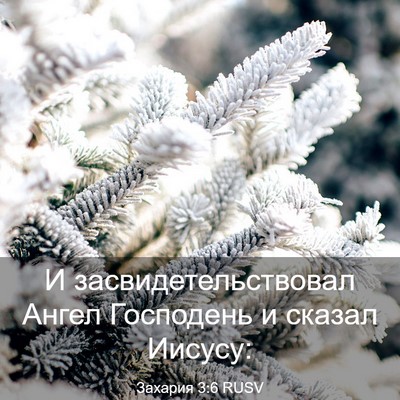 Picture 03 - Захария 3:6 RUSV - И засвидетельствовал - Bible Verse Picture