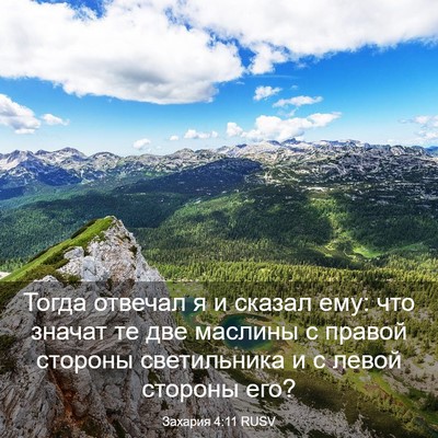 Picture 03 - Захария 4:11 RUSV - Тогда отвечал я и сказал - Bible Verse Picture