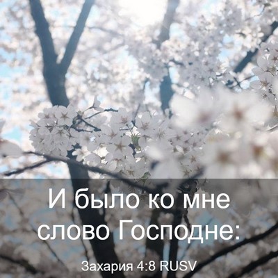 Picture 03 - Захария 4:8 RUSV - И было ко мне слово - Bible Verse Picture