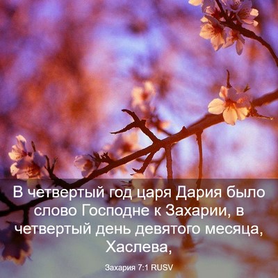 Picture 03 - Захария 7:1 RUSV - В четвертый год царя Дария - Bible Verse Picture