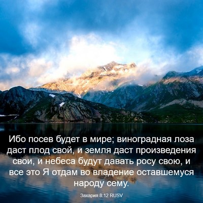 Picture 03 - Захария 8:12 RUSV - Ибо посев будет в мире; - Bible Verse Picture