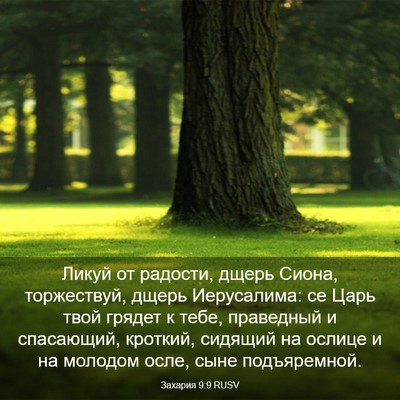 Picture 03 - Захария 9:9 RUSV - Ликуй от радости, дщерь - Bible Verse Picture