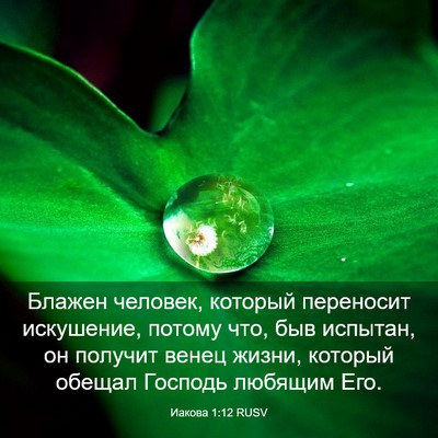 Picture 03 - Иакова 1:12 RUSV - Блажен человек, который - Bible Verse Picture
