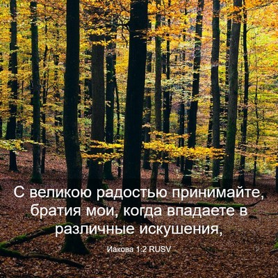 Picture 03 - Иакова 1:2 RUSV - С великою радостью - Bible Verse Picture