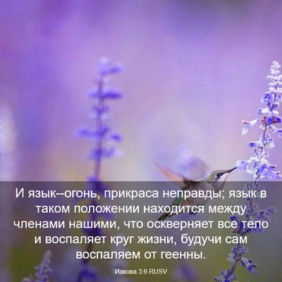 Picture 03 - Иакова 3:6 RUSV - И язык--огонь, прикраса - Bible Verse Picture