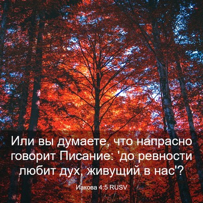 Picture 03 - Иакова 4:5 RUSV - Или вы думаете, что - Bible Verse Picture