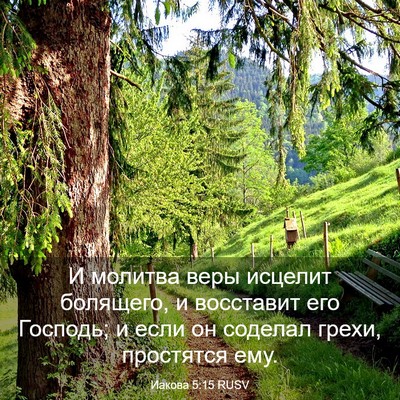 Picture 03 - Иакова 5:15 RUSV - И молитва веры исцелит - Bible Verse Picture