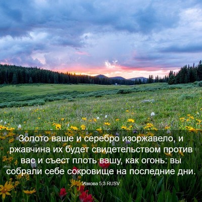 Picture 03 - Иакова 5:3 RUSV - Золото ваше и серебро - Bible Verse Picture