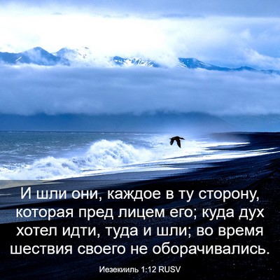 Picture 03 - Иезекииль 1:12 RUSV - И шли они, каждое в ту - Bible Verse Picture