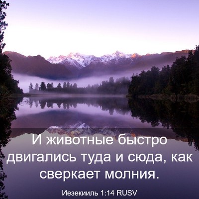 Picture 03 - Иезекииль 1:14 RUSV - И животные быстро - Bible Verse Picture