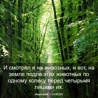 Picture 03 - Иезекииль 1:15 RUSV - И смотрел я на животных, и - Bible Verse Picture