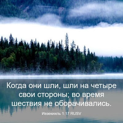 Picture 03 - Иезекииль 1:17 RUSV - Когда они шли, шли на - Bible Verse Picture