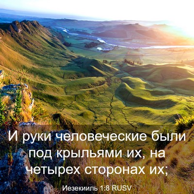 Picture 03 - Иезекииль 1:8 RUSV - И руки человеческие были - Bible Verse Picture