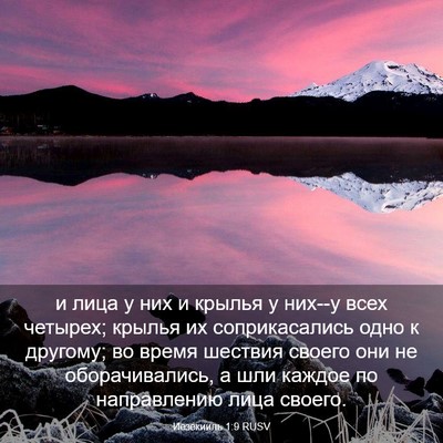 Picture 03 - Иезекииль 1:9 RUSV - и лица у них и крылья у - Bible Verse Picture