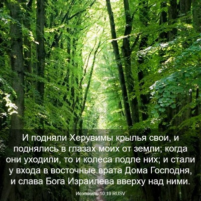 Picture 03 - Иезекииль 10:19 RUSV - И подняли Херувимы крылья - Bible Verse Picture