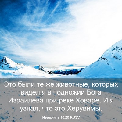 Picture 03 - Иезекииль 10:20 RUSV - Это были те же животные, - Bible Verse Picture