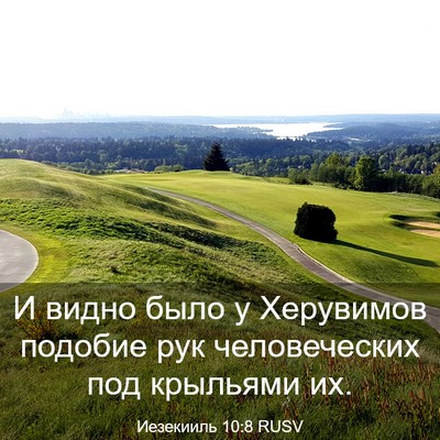 Picture 03 - Иезекииль 10:8 RUSV - И видно было у Херувимов - Bible Verse Picture