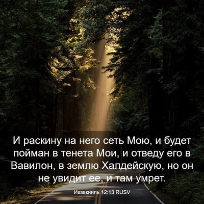 Picture 03 - Иезекииль 12:13 RUSV - И раскину на него сеть Мою, - Bible Verse Picture