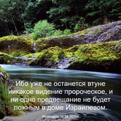Picture 03 - Иезекииль 12:24 RUSV - Ибо уже не останется втуне - Bible Verse Picture