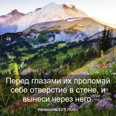 Picture 03 - Иезекииль 12:5 RUSV - Перед глазами их проломай - Bible Verse Picture