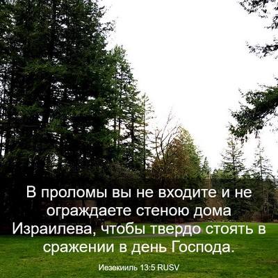 Picture 03 - Иезекииль 13:5 RUSV - В проломы вы не входите и - Bible Verse Picture