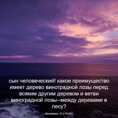 Picture 03 - Иезекииль 15:2 RUSV - сын человеческий! какое - Bible Verse Picture