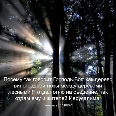 Picture 03 - Иезекииль 15:6 RUSV - Посему так говорит Господь - Bible Verse Picture