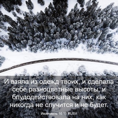 Picture 03 - Иезекииль 16:16 RUSV - И взяла из одежд твоих, и - Bible Verse Picture