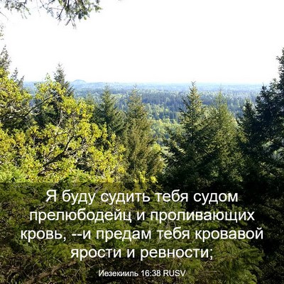 Picture 03 - Иезекииль 16:38 RUSV - Я буду судить тебя судом - Bible Verse Picture