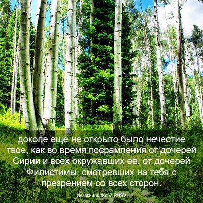 Picture 03 - Иезекииль 16:57 RUSV - доколе еще не открыто было - Bible Verse Picture