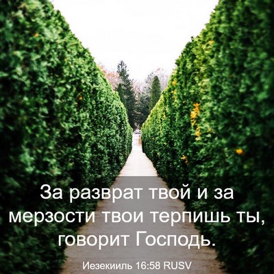Picture 03 - Иезекииль 16:58 RUSV - За разврат твой и за - Bible Verse Picture