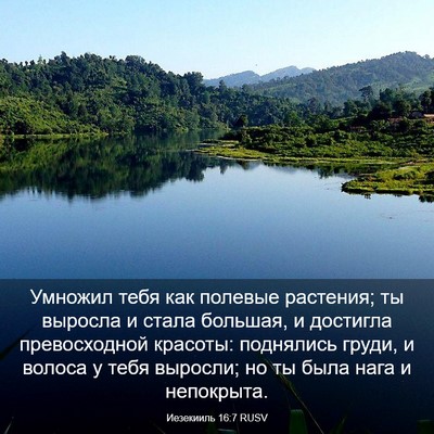 Picture 03 - Иезекииль 16:7 RUSV - Умножил тебя как полевые - Bible Verse Picture