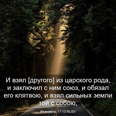 Picture 03 - Иезекииль 17:13 RUSV - И взял [другого] из - Bible Verse Picture