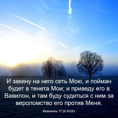 Picture 03 - Иезекииль 17:20 RUSV - И закину на него сеть Мою, и - Bible Verse Picture